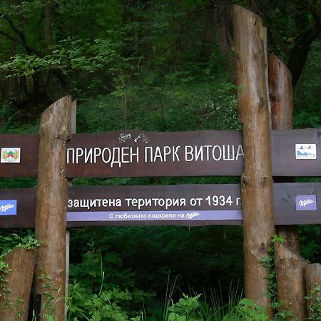 Pinus Villas Lodge With Private Jacuzzi & Phyto-Sauna Retreat Zheleznitsa Extérieur photo
