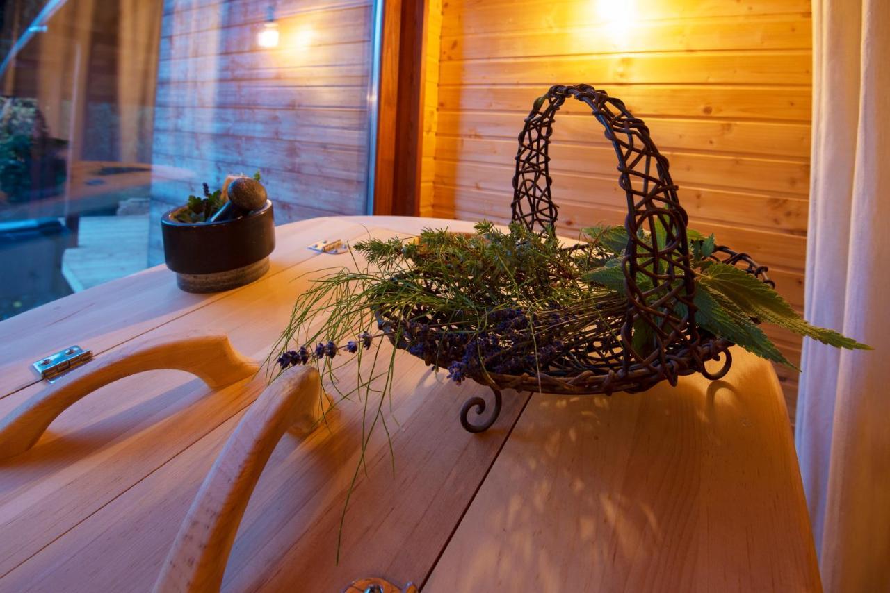 Pinus Villas Lodge With Private Jacuzzi & Phyto-Sauna Retreat Zheleznitsa Extérieur photo