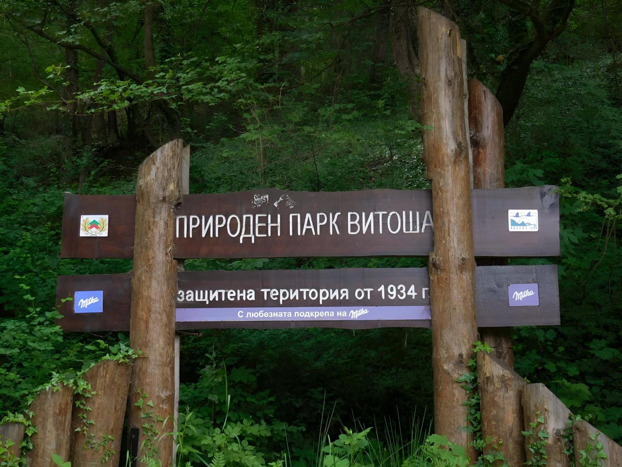 Pinus Villas Lodge With Private Jacuzzi & Phyto-Sauna Retreat Zheleznitsa Extérieur photo