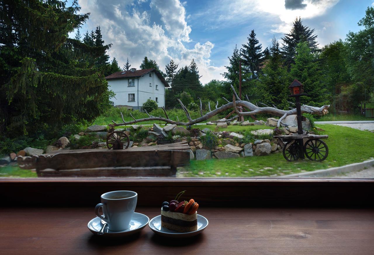 Pinus Villas Lodge With Private Jacuzzi & Phyto-Sauna Retreat Zheleznitsa Extérieur photo